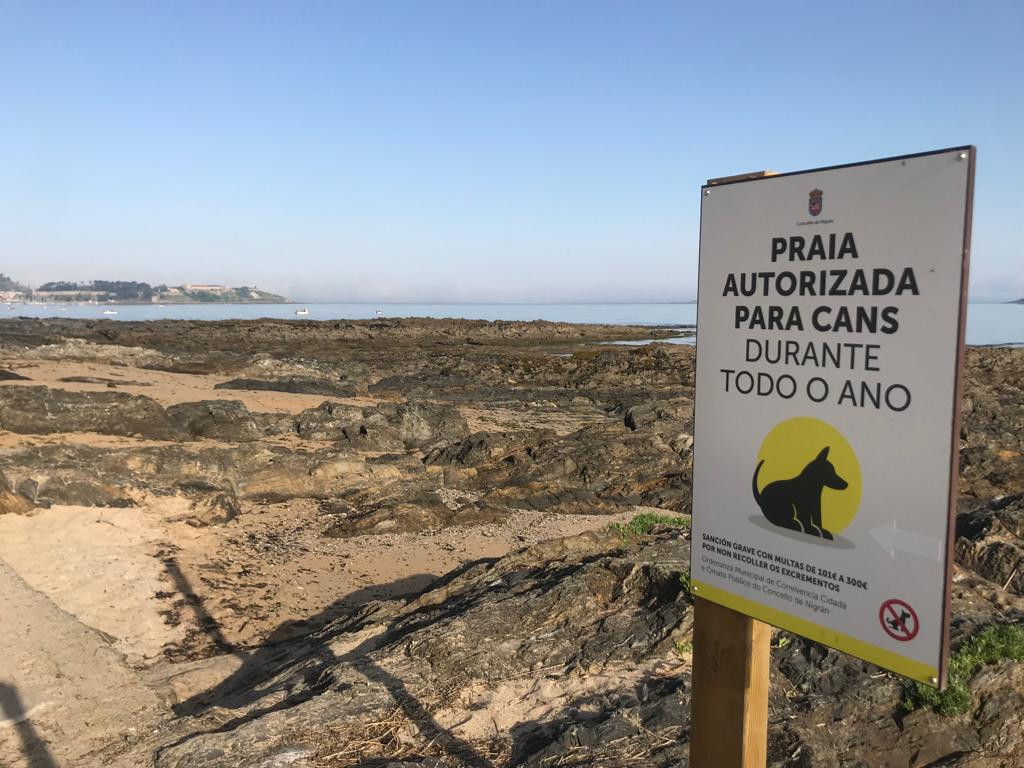 Playas para mascotas